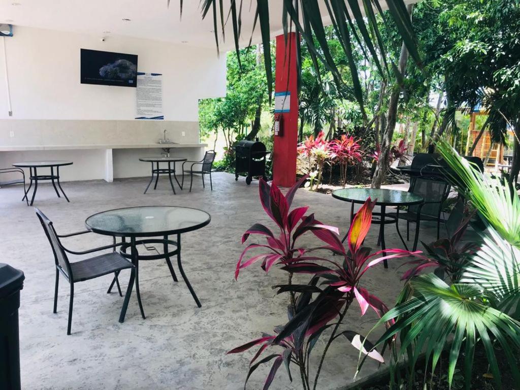 Puerto Morelos - House To Enjoy Riviera Maya מראה חיצוני תמונה